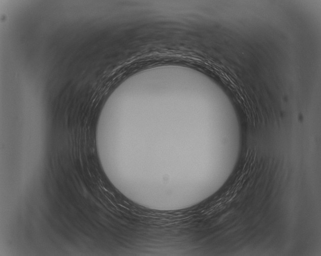 X0000086781492200704130815