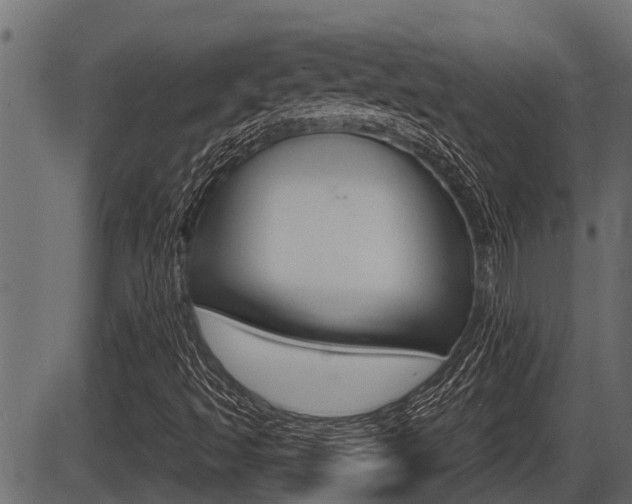 X0000086781493200704130815