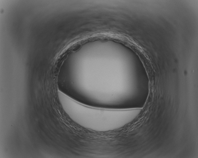 X0000086781496200704130815