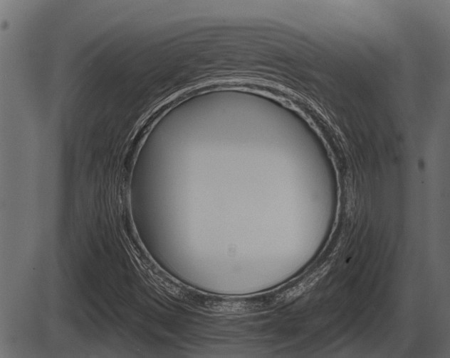 X0000086781497200704130815