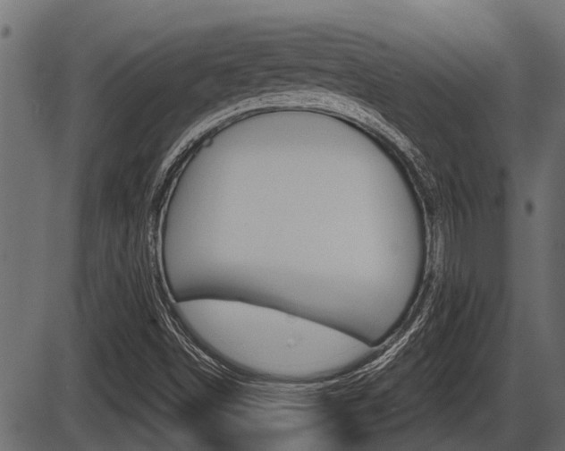 X0000086781498200704130815