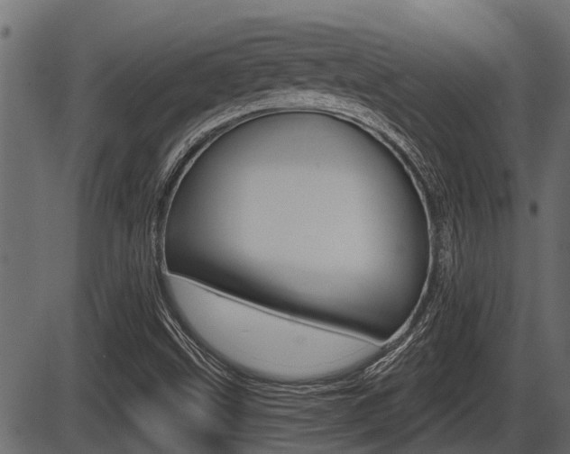 X0000086781499200704130815