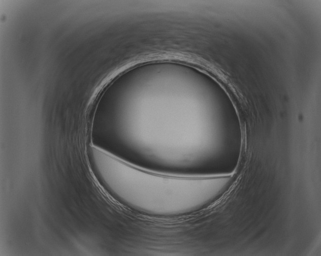 X0000086781500200704130815