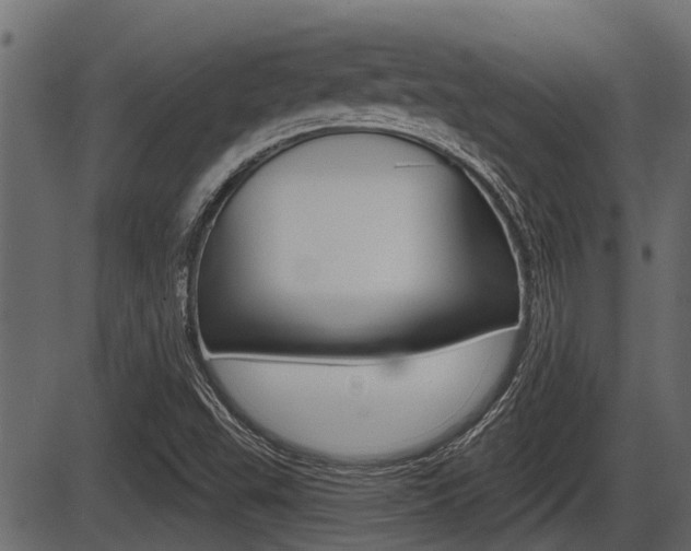 X0000086781503200704130815