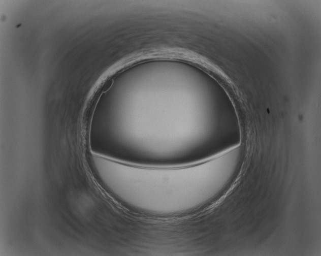 X0000086781506200704130815
