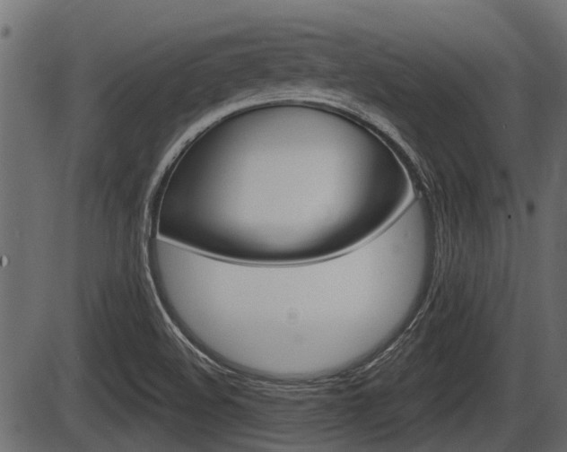 X0000086781508200704130815