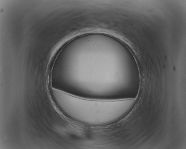 X0000086781511200704130816