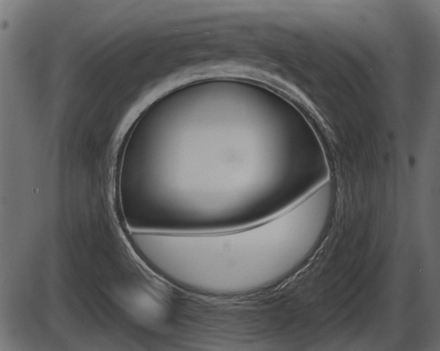 X0000086781512200704130816