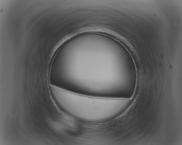 X0000086781513200704130816