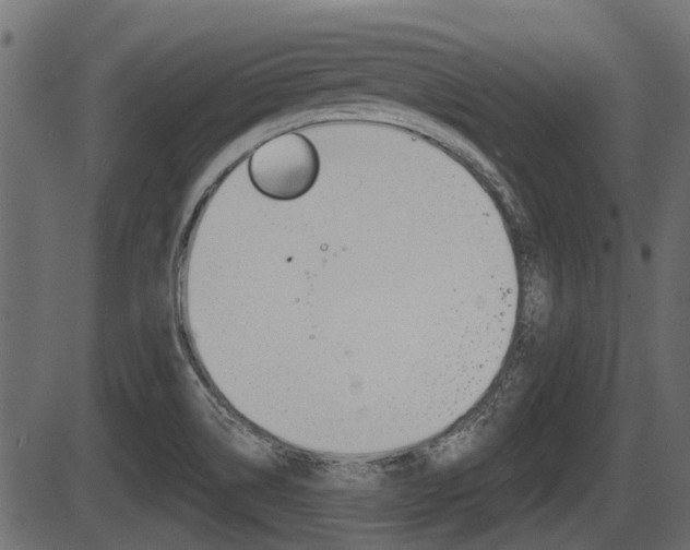 X0000086781514200704130816
