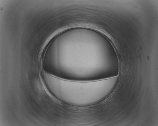 X0000086781515200704130816