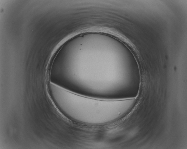 X0000086781517200704130816