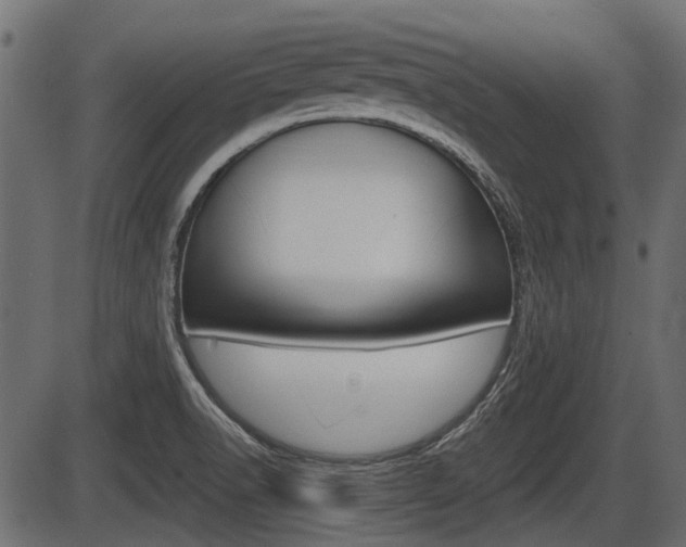 X0000086781518200704130816
