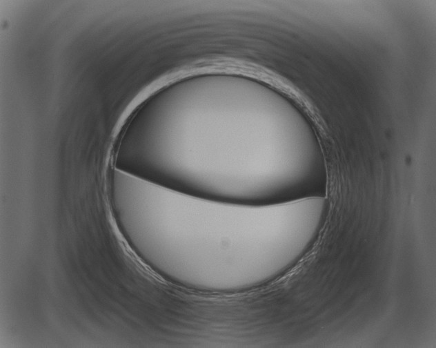 X0000086781522200704130816