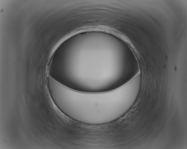 X0000086781524200704130816