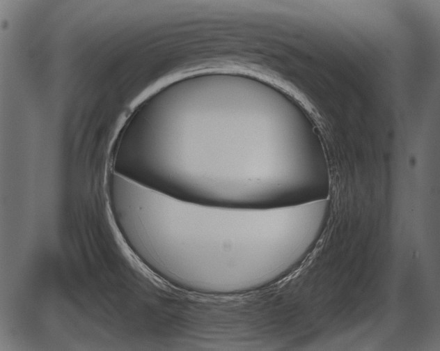 X0000086781526200704130816