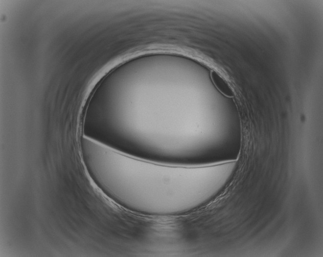 X0000086781527200704130816