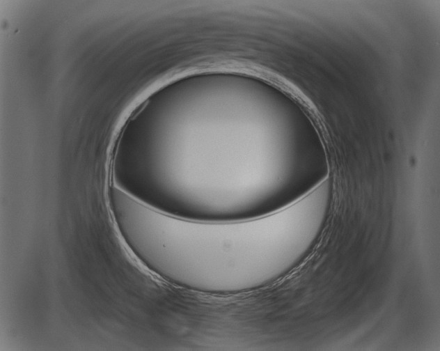 X0000086781528200704130816