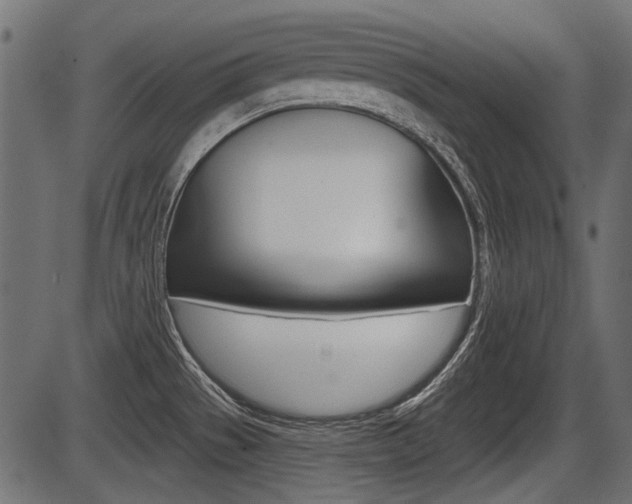X0000086781529200704130816