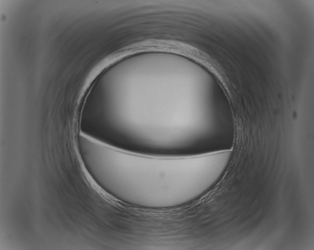 X0000086781531200704130816