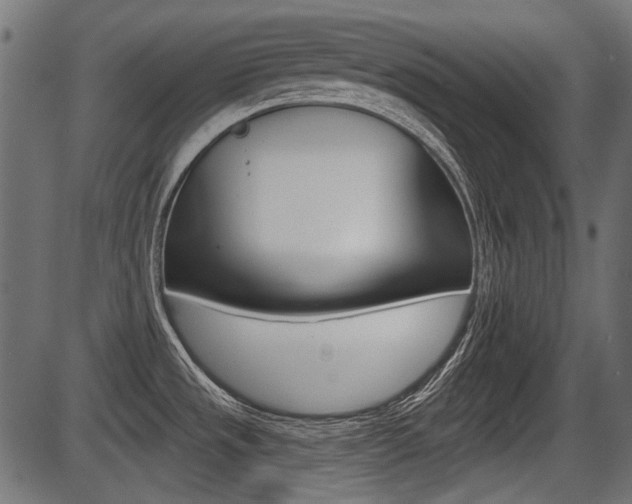 X0000086781533200704130816