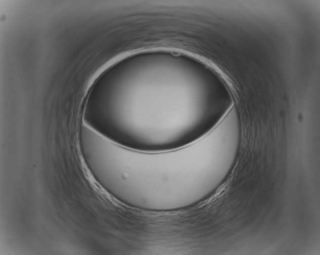 X0000086781534200704130816