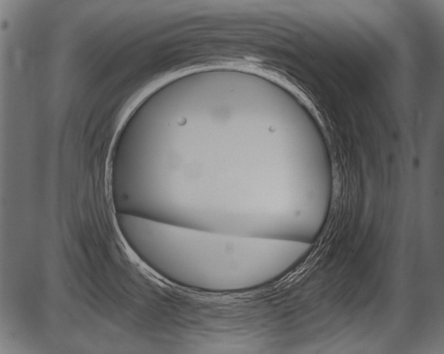 X0000086781535200704130816