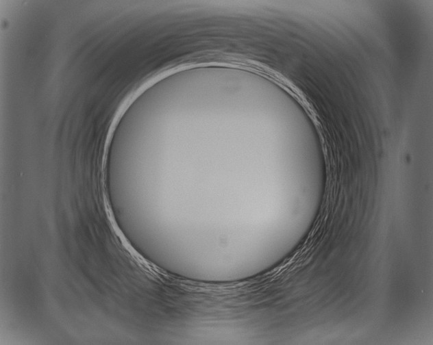 X0000086781536200704130816
