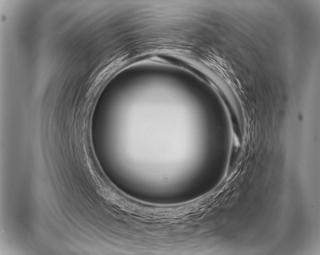 X0000086780001200704131226