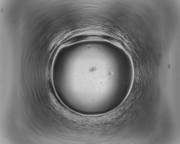 X0000086780002200704131226