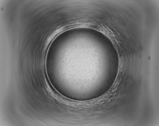 X0000086780003200704131226