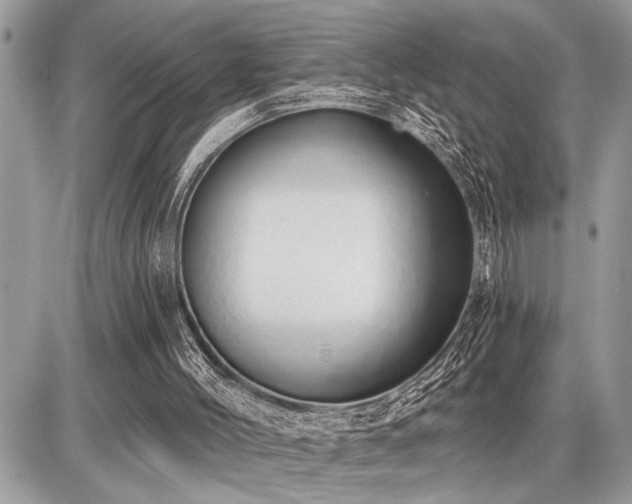 X0000086780004200704131226