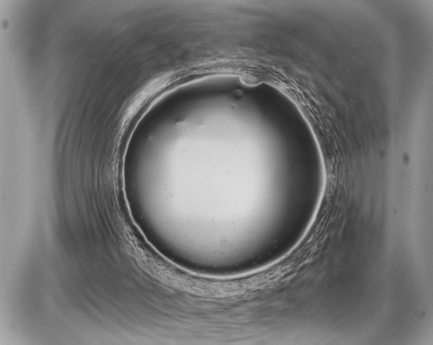 X0000086780006200704131226