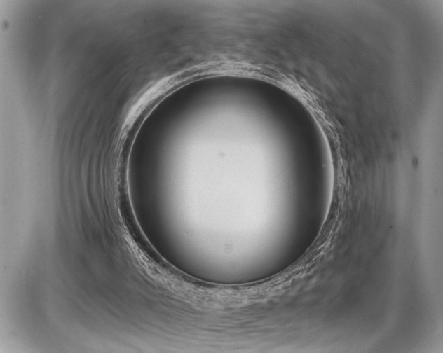 X0000086780007200704131226