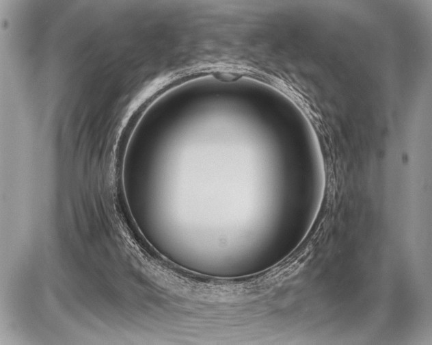 X0000086780008200704131226