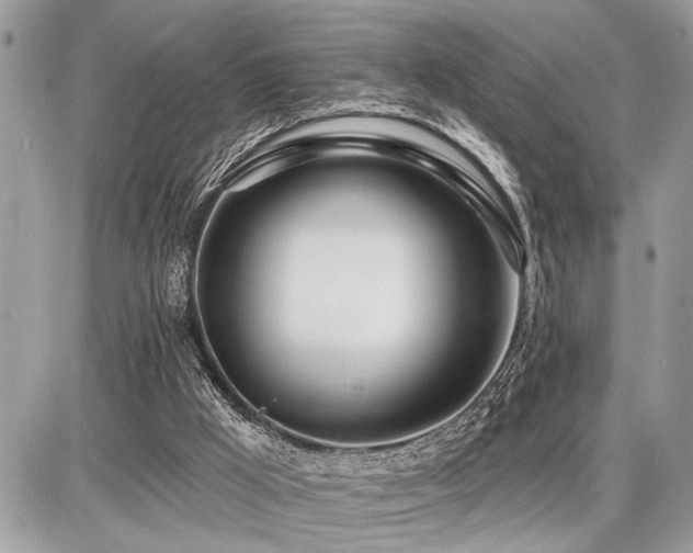 X0000086780009200704131226