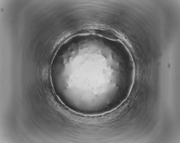 X0000086780010200704131226