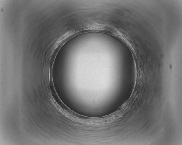 X0000086780011200704131226