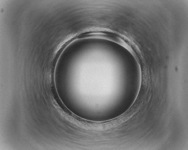 X0000086780015200704131226