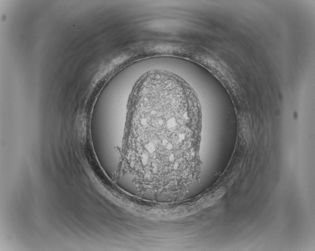 X0000086780016200704131226