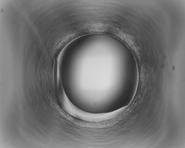 X0000086780017200704131226