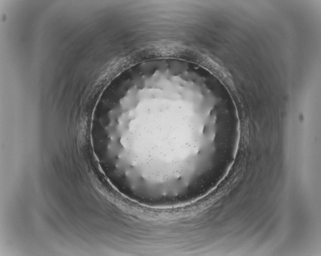 X0000086780018200704131226