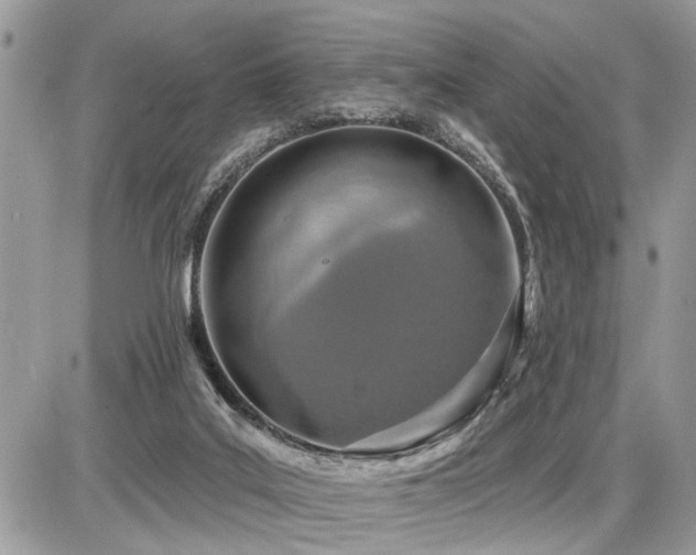 X0000086780019200704131226