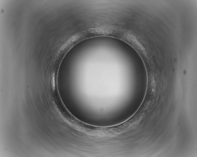 X0000086780020200704131226