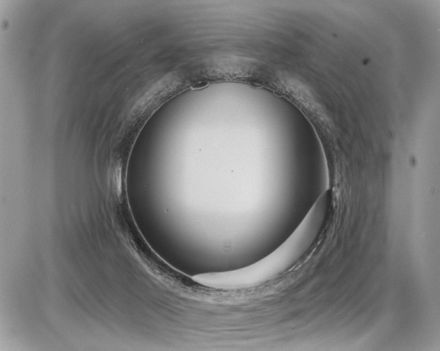 X0000086780021200704131226