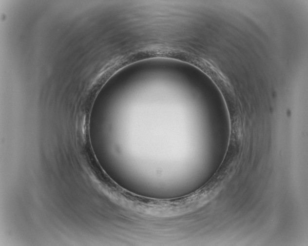 X0000086780024200704131226