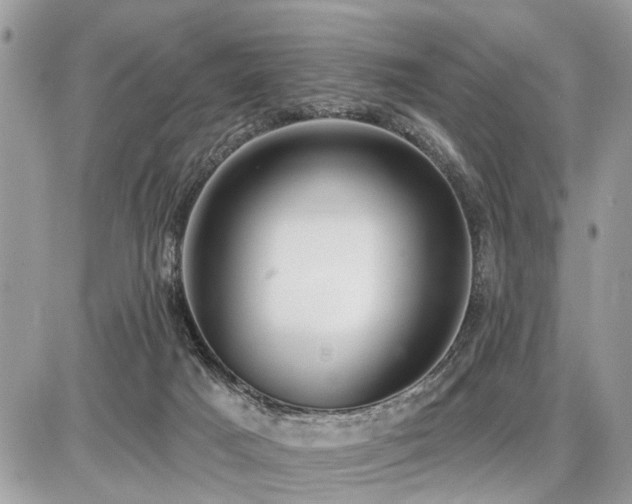 X0000086780025200704131226