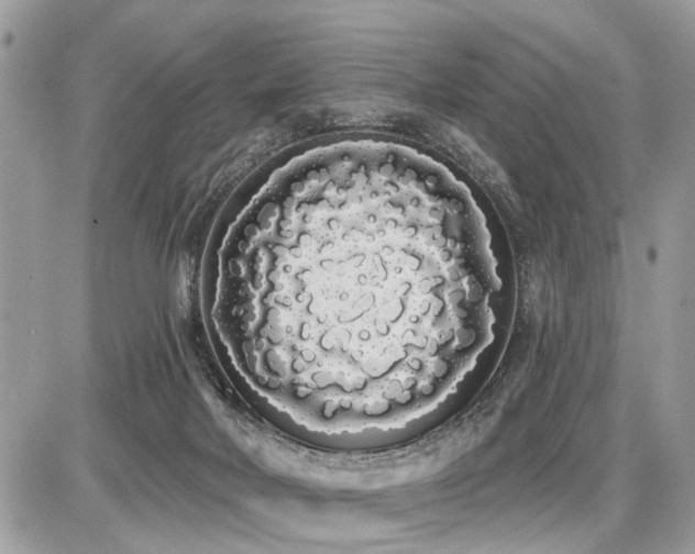 X0000086780026200704131226