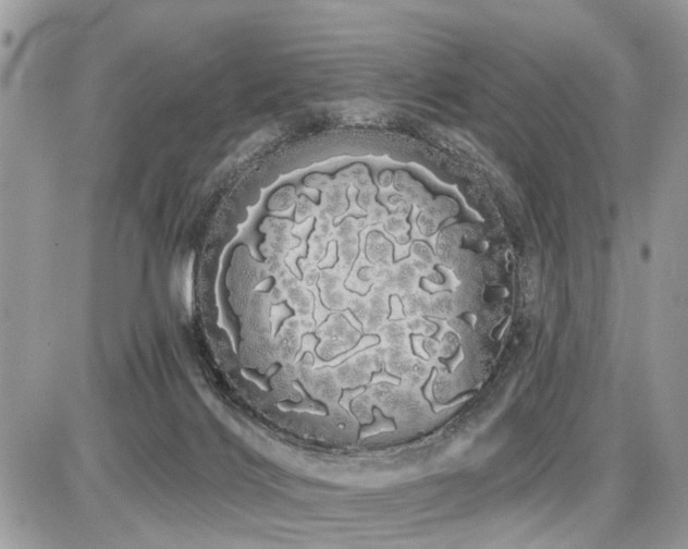 X0000086780028200704131226