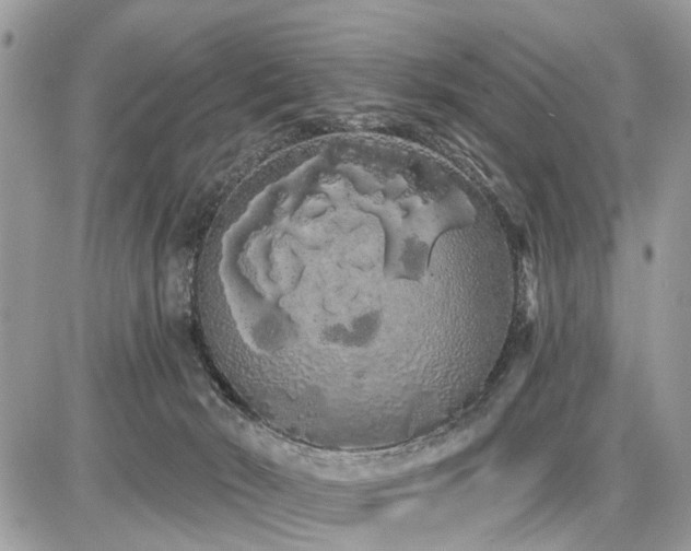 X0000086780030200704131226